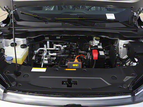 2025�� 518�����͹ھ���