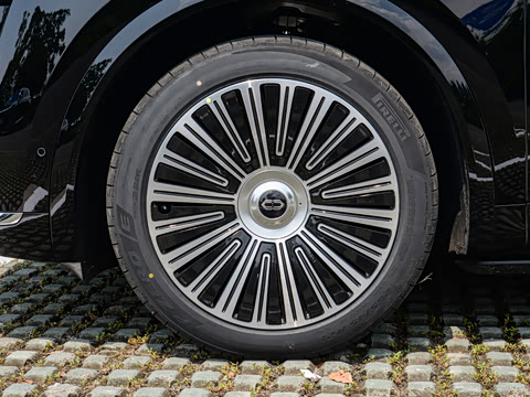 2025�� ���� Max+ ������������ 