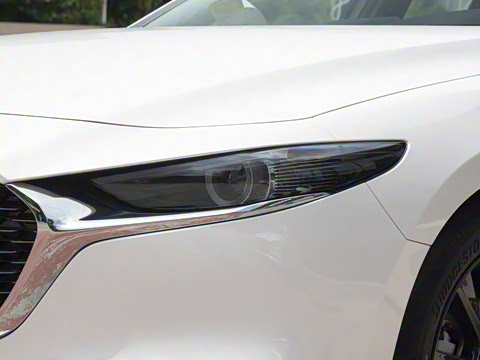 2025�� 2.0L �Զ������