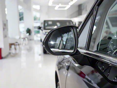 2025�� ���� �������������� ����