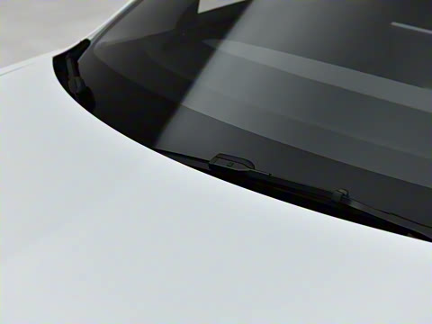 2025�� �Ŀ� ����������������