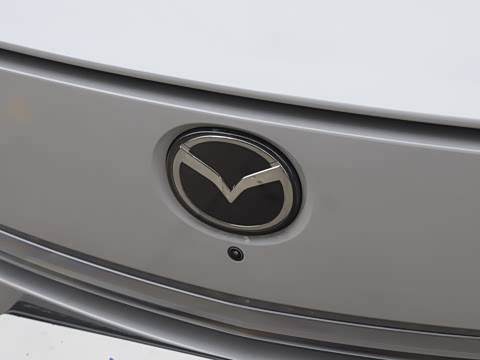 2025�� ����600 Pro