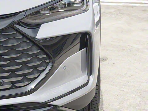 2025�� �Ǽݰ� DM-i 175KM �����