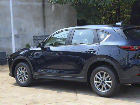 2025�� 2.0L �Զ���������Pro