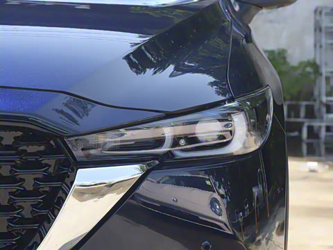 2025�� 2.0L �Զ���������Pro