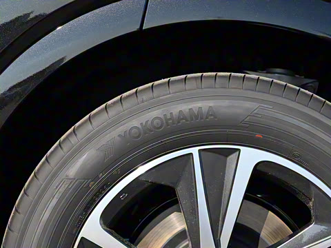 2026�� 300 ����������