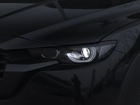 2026�� 2.5L ���а�