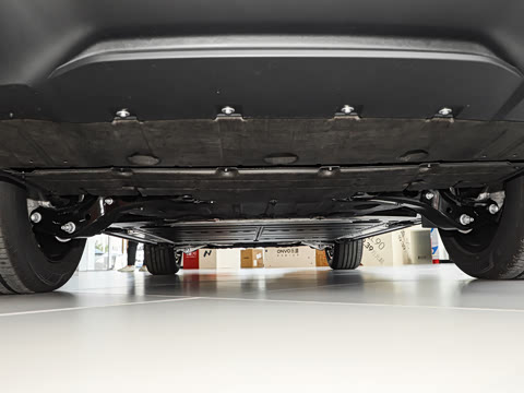 2025�� Max ������