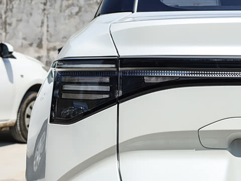 2026�� ������ JOY