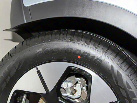 2025�� UP 410km ̽��+��