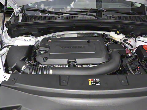 2026�� ������Plus ����Avenir��ά��