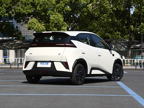 2026�� 305km ���ɰ�