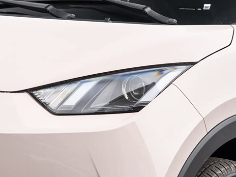2026�� 305km ������