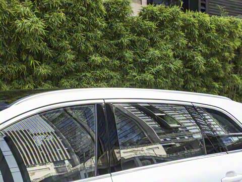 2025�� ���� Pro ������