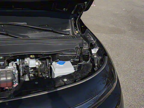 2025�� 600������