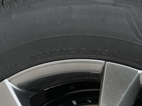 2026�� 2.5L ˫������������