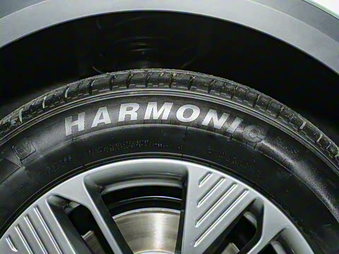 2025�� 565km �����