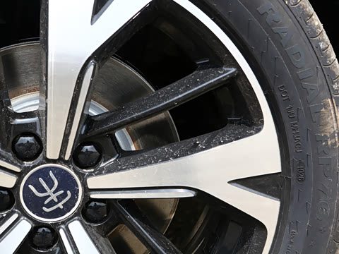 2026�� DM-i 220KM��Խ��