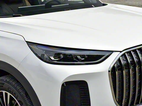 2026�� 9X 2.0T �Զ�����������