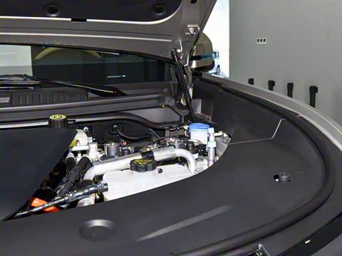 2025�� ���º����� 5��