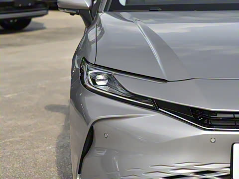 2026�� ˫�� 2.5HG ����