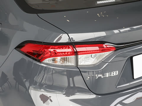 2026�� ����L 185T ������