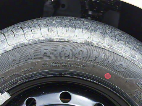 2025�� 205km ʥ����