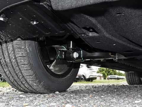 2025�� Plus 610 ������