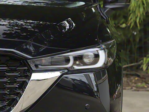 2025�� 2.0L �Զ���������Pro