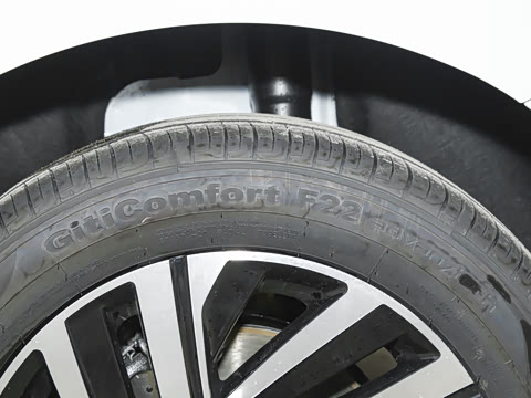 2026�� 300TSI DSG�ǿ����Ȱ�