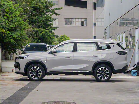 2025�� 290TGDI DCT���ư�