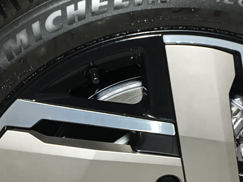 2025�� Max ������