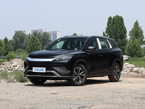 2026�� DM-i 133KM��ȡ��