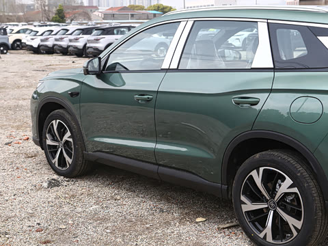 2026�� DM-i 220KM׿Խ��