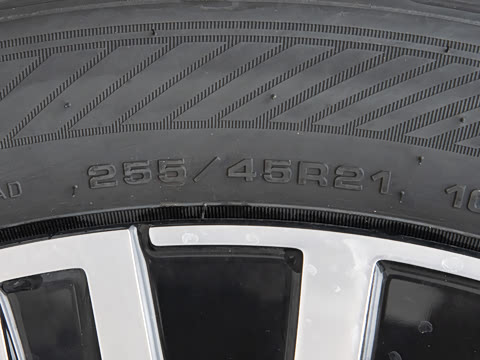 2026�� Max ������