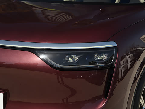 2025�� ���� Max+ ������������ 