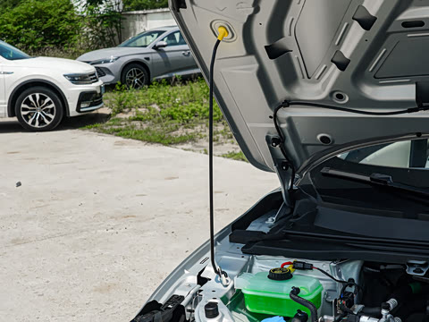 2026�� 535 PLUS�����
