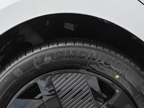 2026�� 501km ���а�
