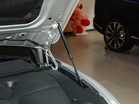 2025�� ���� 230�캽�����