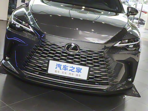 2025�� 300 ����������