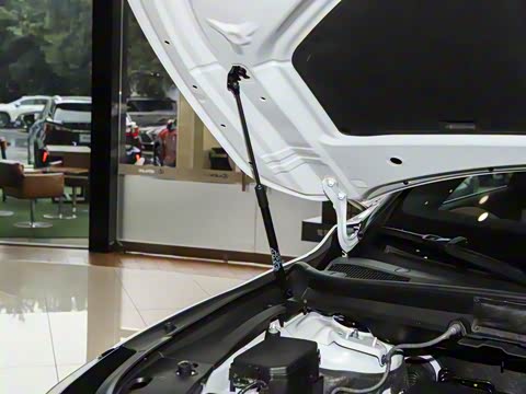 2026�� 350h ����������