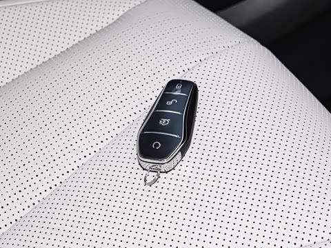 2025�� DM-i 121�캽��