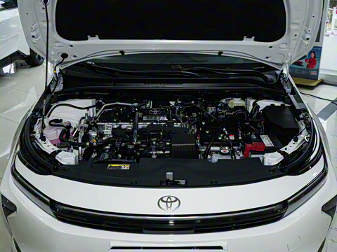 2026�� 1.8L ˫�� �ȷ��