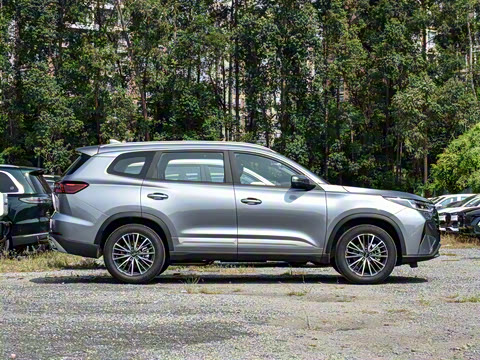 2025�� 290T ��������+