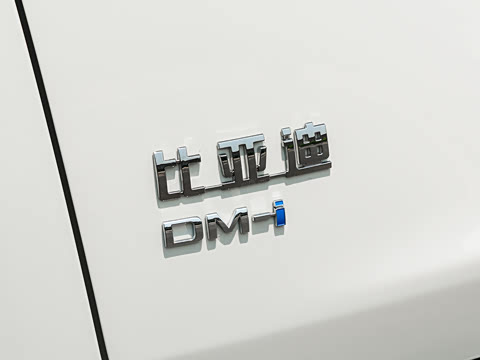 2026�� DM-i 310KM ��Խ��