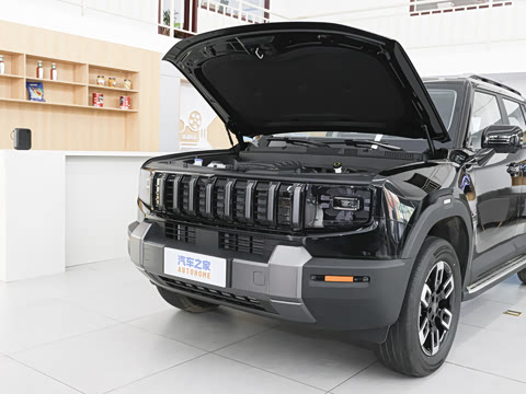 2026�� 2.0T XWD ��Խ
