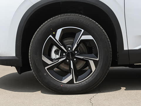 2026�� 530Խ����