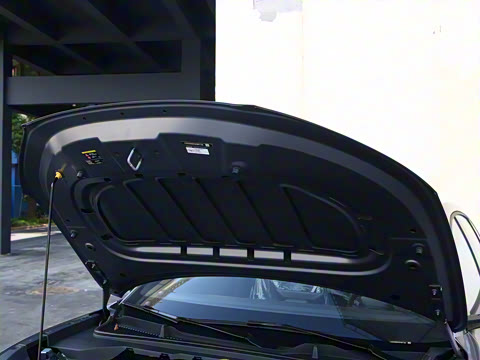 2025�� 520�ǻݳ��а�