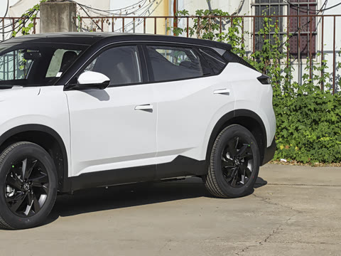 2025�� 518�����͹ھ���