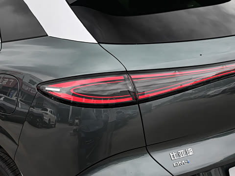 2025�� DM-i 205�캽Pro��